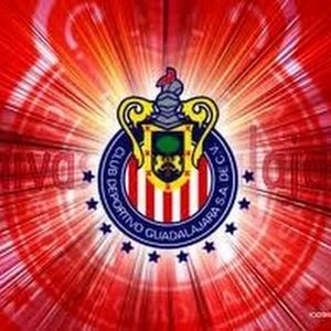 Meet your Posher, Benjamin